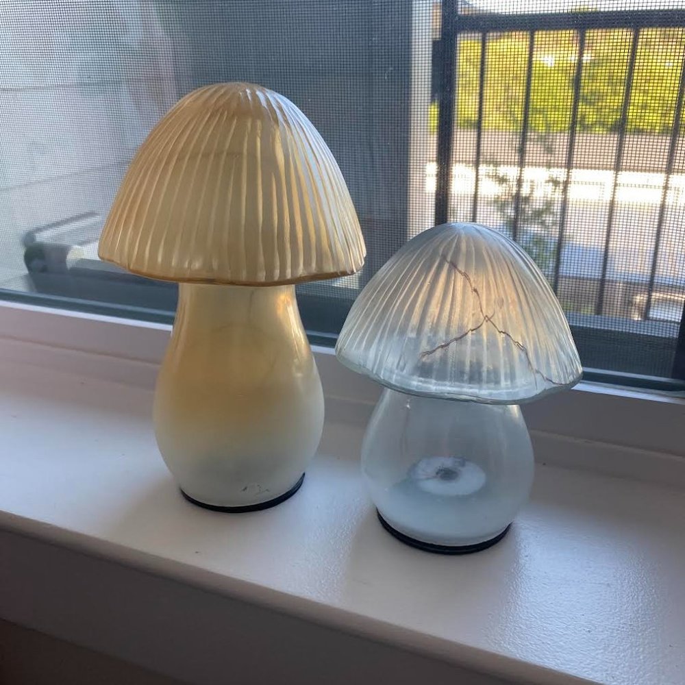 Two Illuminated Mushrooms